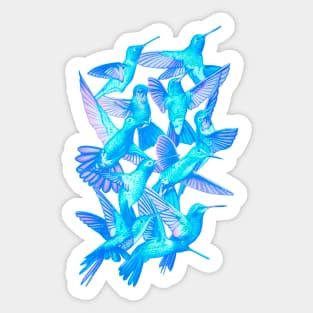 Hummingbird Dance in Sharpie (IceBird Edition) Sticker